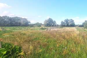 HIER IST PLATZ|PROVISIONSFREI | Großzügiger Vierseitenhof auf 8984 m² Grundstück mit viel Potential – Die vollständige Adresse der Immobilie erhältst du vom Anbieter., 16775 Löwenberger Land – Vorschaubild 9