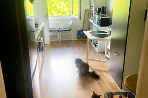 ***Attraktive, helle 2 ZKB- Wohnung in zentraler Lage*** – Bismarckring 17, 65183 Westend / Bleichstraße, Wiesbaden – Vorschaubild 10