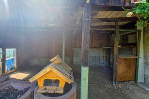 Ihr neues Zuhause in Schneeberg - liebevoll gepflegtes Einfamilienhaus mit Garten – Karl-Liebknecht-Straße 5, 8289 Schneeberg – Vorschaubild 31