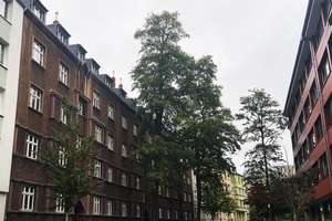 Familienfreundliche Altbauwohnung mit Charme