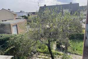 Bezugsfreies und familienfreundliches Wohnhaus in beliebter Lage von Wolfsburg – Wolfsburg – Vorschaubild 23