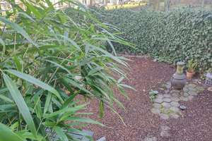 2 Zimmer in Barmbek ab 01.07.26 frei lieferbar im EG (46qm) + eigener großer Garten (44qm)  – Die vollständige Adresse der Immobilie erhältst du vom Anbieter., 22305 Barmbek-Nord, Hamburg – Vorschaubild 3