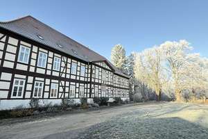 Herrschaftliches Gutshaus mit Park + Mehrfamilienhaus  + Nebengebäude – Die vollständige Adresse der Immobilie erhältst du vom Anbieter., 19243 Wittenburg – Vorschaubild 4