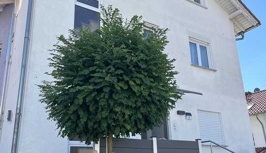 Bild von 3-Fam.Haus mit Souterrainwohnung Provisionsfrei !!!