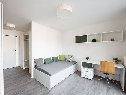 Erdgeschosswohnung Mieten In Friedrichsfelde Immobilienscout24