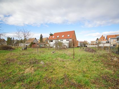 Grundstück kaufen in Haßloch ImmoScout24