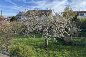 Wohnhaus mit ELW, Garage u. gr. Grundstück (provisionsfrei für Käufer) – Die vollständige Adresse der Immobilie erhältst du vom Anbieter., 66484 Großsteinhausen – Vorschaubild 5