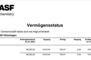 Großzügig geschnitten: 5-Zimmer-Wohnung- Hohenzollernhöfe-Neobarocker Stil – Fichtestraße 24, 67063 Friesenheim, Ludwigshafen am Rhein – Vorschaubild 34