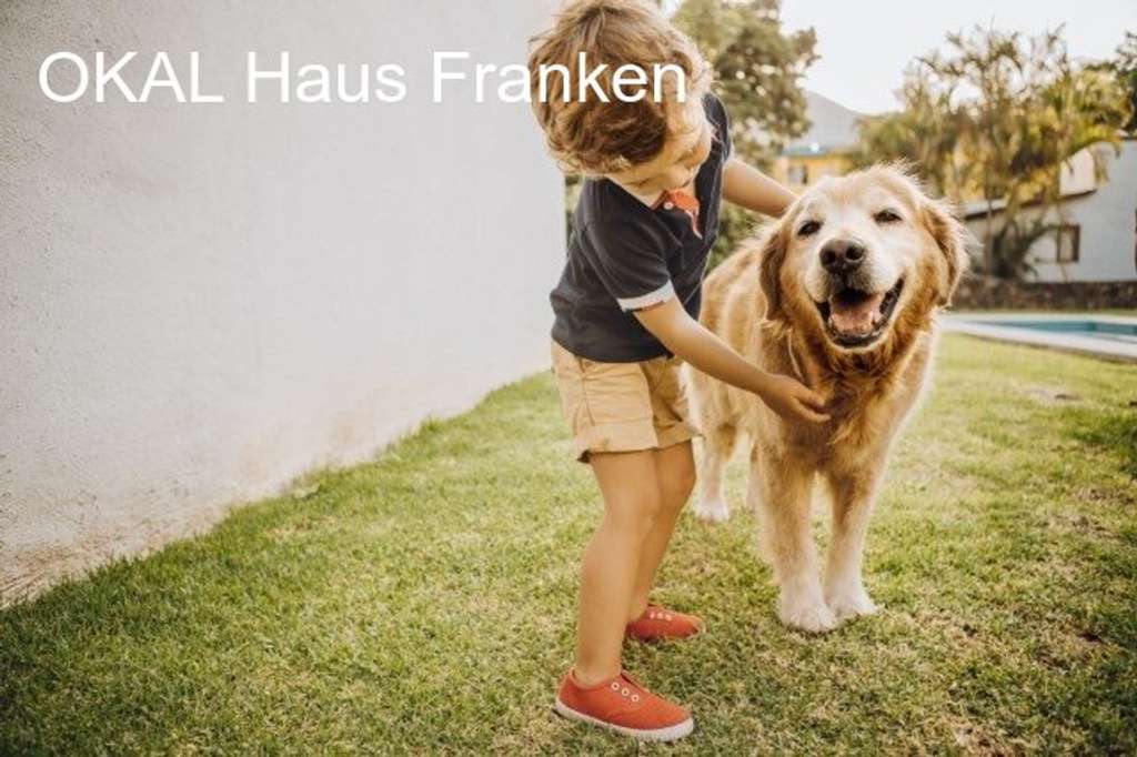 Immobilie in Haßfurt - Flexibles Designhaus mit Flair - Bild 3