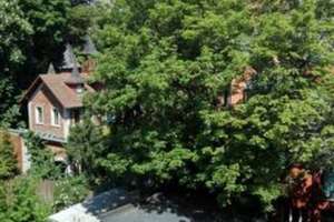 Top-Lage, 52m² Fläche/39m² Grund!: Möblierte 2-Zi-Whg mit Dielenboden & Parkblick – Provisionsfrei – Pirckheimerstraße 19, 90408 Pirckheimerstraße, Nürnberg – Vorschaubild 8