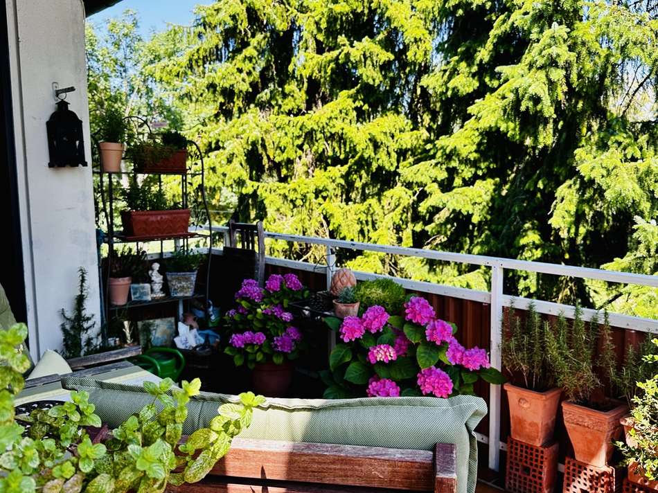 Ansichten Balkon OG (3)
