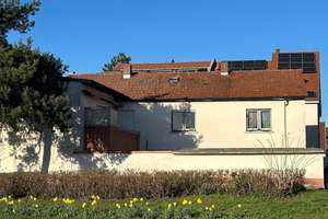 Direkt am Neckar! Haus mit 2-3 Wohneinheiten auf der "Insel" und viel Platz für Ihre Ideen – Hauptstraße 31, 68549 Ilvesheim – Vorschaubild 1