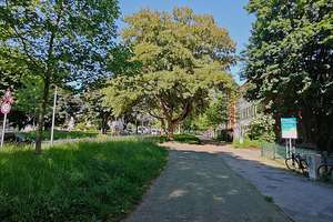 renovierte 2,5-Zi-Wohnung mit Südwest Balkon, an der Grenze zu Düsseltal; Energieeffizienzklasse C!! – Graf-Recke-Straße 147, 40237 Düsseltal, Düsseldorf – Vorschaubild 13