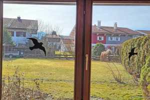Doppelhaushälfte in Vachendorf mit großzügigem Garten. – Traunstein (Kreis) – Vorschaubild 4