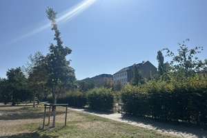 Property thumbnail 14