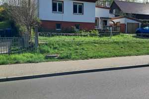 Landhaus für Gartenfreunde und Tierhalter! – Oder-Spree (Kreis) – Vorschaubild 3