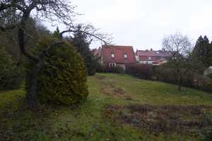 Historisches Anwesen mit großem Charme auf beeindruckendem Grundstück! – Potsdam – Vorschaubild 9