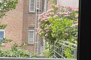 *Einziehen und wohlfühlen! 2-Zimmer-Wohnung in Köln-Sülz* – Zülpicher Str. 273, 50937 Sülz, Köln – Vorschaubild 15