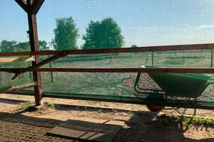 Pferdeimmobilie im Wendland-Neuwertiges Wohnhaus, Reithalle, Stallungen & ca. 3 ha Land in Prezelle – Die vollständige Adresse der Immobilie erhältst du vom Anbieter., 29491 Prezelle – Vorschaubild 18