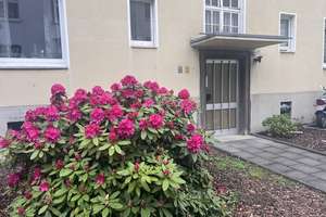 Freundliche 2-Zimmer Wohnung in Essen-Frohnhausen – Königsteiner Straße 18, 45145 Frohnhausen, Essen – Vorschaubild 1