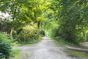 Property thumbnail 14