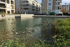 Geräumige 4 ZI. Wohnung im Belsenpark Oberkassel – Die vollständige Adresse der Immobilie erhältst du vom Anbieter., 40549 Oberkassel, Düsseldorf – Vorschaubild 15