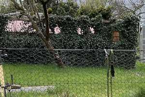 Property thumbnail 38