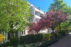 Erstbezug nach Modernisierung 3-Zimmer-Wohnung mit Terrasse in Oberrad – 60599 Oberrad, Frankfurt am Main – Vorschaubild 2