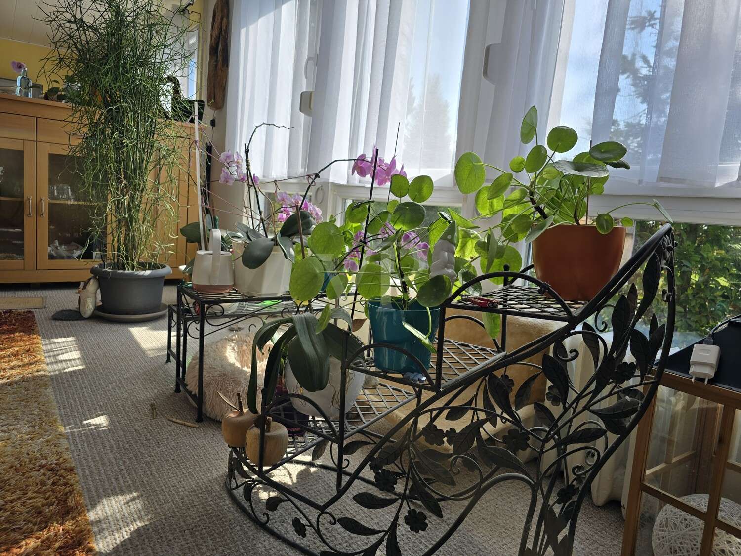 Immobilie in Südharz - Kyffhäuserblick - Lichtdurchflutetes Familienleben mit Wintergarten, Sauna & neuer Holzpelletheizung - Bild 0