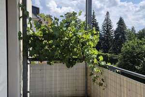 Ruhiges Wohnen mit großem Südbalkon... neu renoviert! – Margaretenstr. 5, 9131 Hilbersdorf, Chemnitz – Vorschaubild 2