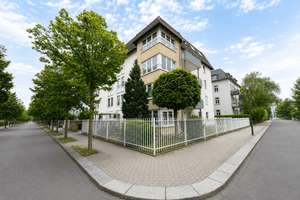 Helle 2 Zimmer Wohnung mit Balkon in Dresden-Blasewitz