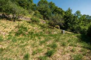 Property thumbnail 18