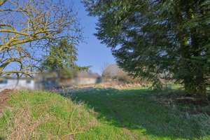 Zwei Doppelhaushalten mit 3.820 qm Land in ruhiger Lage - Mecklenburgische Seenplatte – 17089 Gültz – Vorschaubild 50
