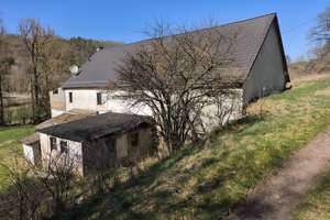 Freistehendes Landhaus mit großem - 12.800 m² Grundstück zu verkaufen (Bargeld bevorzugt)  – Seibertzmuhle 1, 55774 Ruschberg – Vorschaubild 6