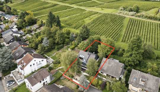 Bild von Ein Zuhause am Weinberg – wo Natur, Ruhe und Lebensqualität aufeinandertreffen