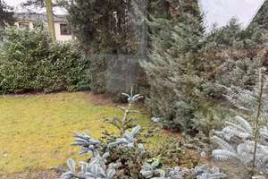 Renovierungsbedürftiges Einfamilienhaus mit 10 Zimmern in Leverkusen-Wiesdorf – Dresdener Straße 6, 51373 Wiesdorf, Leverkusen – Vorschaubild 19