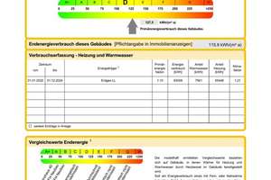 Reihenhaus, Koblenz, Asterstein, Toplage, großer Garten, leer – Gertrud minus von minus Lee minus Ford minus Straße 13, 56077 Arenberg, Koblenz – Vorschaubild 23