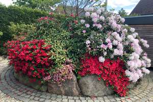 Property thumbnail 26