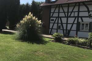 Noch online bis  13. August 26  bei Immoscout 24 zu  Verk. Grundstk 13500 m²  3  Familienh. in Essen – Die vollständige Adresse der Immobilie erhältst du vom Anbieter., 45307 Leithe, Essen – Vorschaubild 3