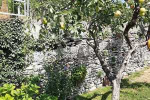 Willkommen Welkom, Welcome an der schönen Mosel!!! Dein neues Urlaubsparadies wartet auf Dich!!! – Bernkastel-Wittlich (Kreis) – Vorschaubild 24