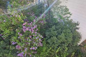 WOHNUNG AM SCHLOSS MIT EIGENEM GARTEN - SANIEREN & EINZIEHEN! – Die vollständige Adresse der Immobilie erhältst du vom Anbieter., 38102 Viewegsgarten-Bebelhof, Braunschweig – Vorschaubild 11