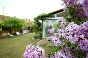 Modernes energieeffizientes Einfamilienhaus mit idylischem Garten
