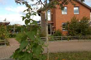 Familiengeeignetes Einfamilienhaus mit Garten in Rettmer (Lüneburg) – Lüneburg (Kreis) – Vorschaubild 16