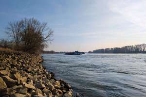 Raum für Visionen: Familienhaus mit großem Grundstück direkt am Rhein – Die vollständige Adresse der Immobilie erhältst du vom Anbieter., 40489 Wittlaer, Düsseldorf – Vorschaubild 18