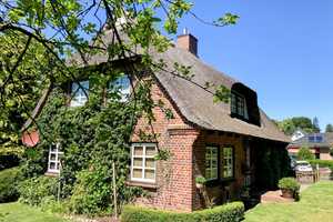 Stilvolles Reetdachhaus auf parkähnlichem Grundstück – Ostholstein (Kreis) – Vorschaubild 36