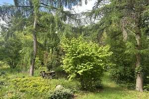 NEUWARMBÜCHEN (FELDRAND): FREISTEHENDES HOLZSTÄNDERHAUS MIT EINLIEGER-WHG AUF PARKÄHNL. GRUNDSTÜCK – Die vollständige Adresse der Immobilie erhältst du vom Anbieter., 30916 Isernhagen – Vorschaubild 42