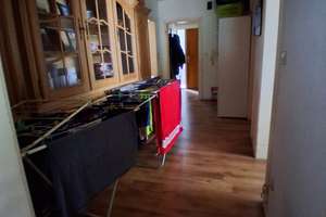 Lebendiges Gelsenkirchen: 2,5-Zimmer-Wohnung im Erdgeschoss – Polsumerstrasse 69, 45894 Buer, Gelsenkirchen – Vorschaubild 12