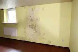 450 - Doppelhaushälfte im Bungalowstil mit Garagengrundstück, Garten & Terrasse in Ennepetal – Gustav--Bohm-Straße X, 58256 Ennepe-Ruhr-Kreis – Vorschaubild 55