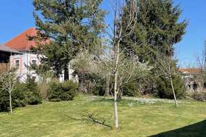 5-Zimmer-EFH mit gehobener Innenaussattung, große Scheune, großer Obstgarten, ruhig        – Passau (Kreis) – Vorschaubild 14
