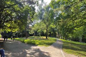 Property thumbnail 23